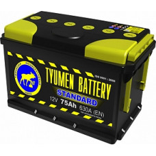 Tyumen Battery 6ст-75L Standart